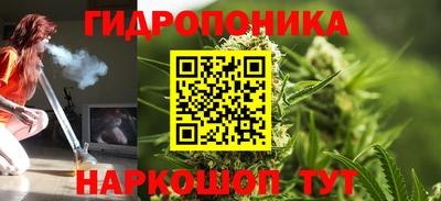 гашик Новодвинск