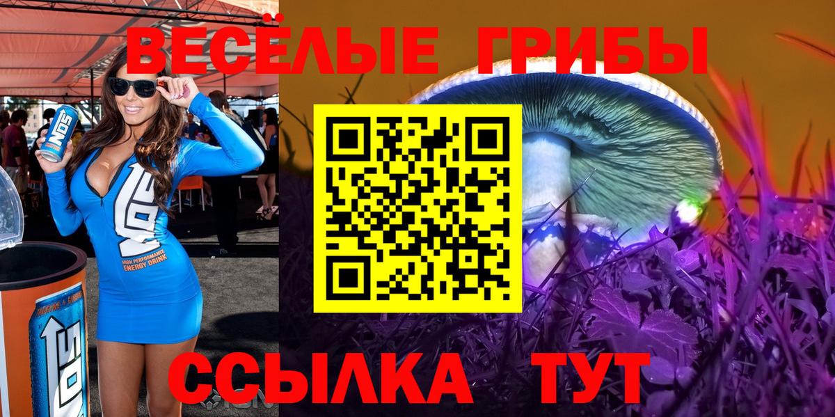 Галлюциногенные грибы GOLDEN TEACHER Фрязино